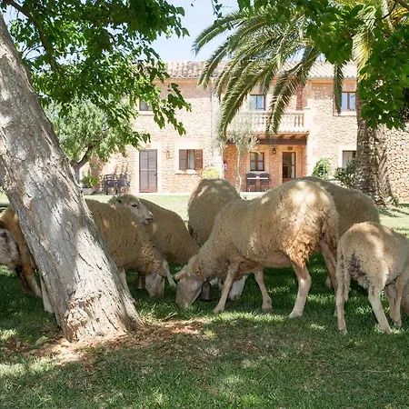 Es Quatre Cantons